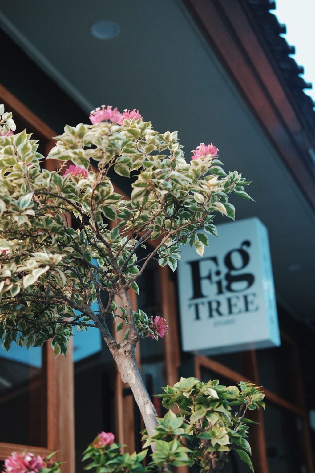 About Fig Tree Tattoo Studio in Bali - American Traditional & Fine Line ...